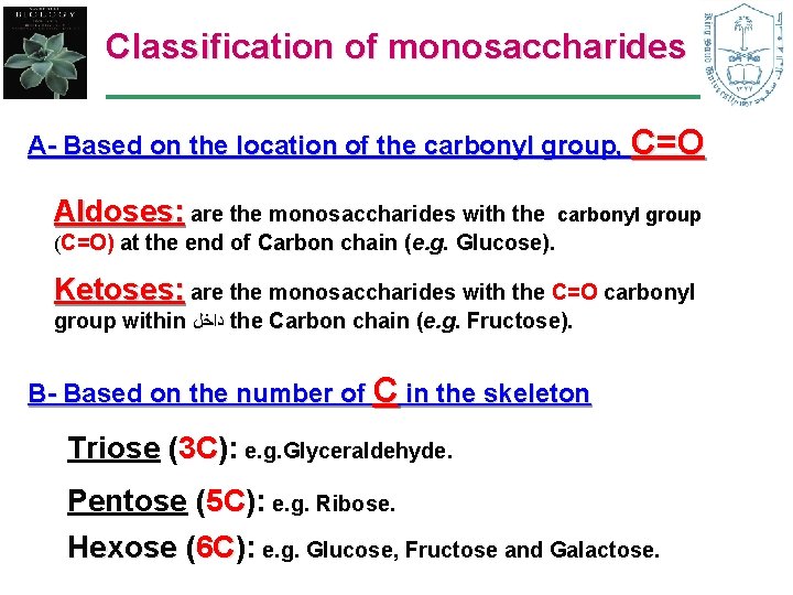 Classification of monosaccharides A- Based on the location of the carbonyl group, C=O Aldoses: Classification of monosaccharides A- Based on the location of the carbonyl group, C=O Aldoses: