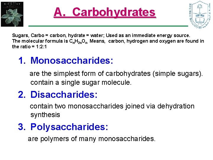 A. Carbohydrates Sugars, Carbo = carbon, hydrate = water; Used as an immediate energy A. Carbohydrates Sugars, Carbo = carbon, hydrate = water; Used as an immediate energy