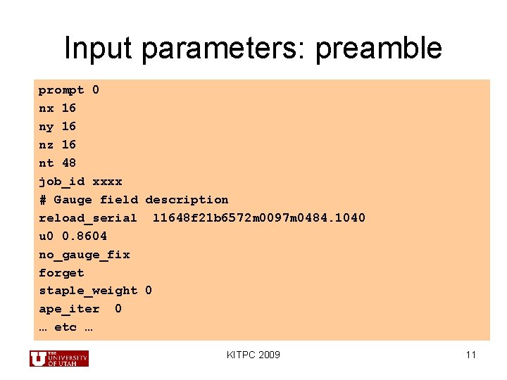 Input parameters: preamble prompt 0 nx 16 ny 16 nz 16 nt 48 job_id