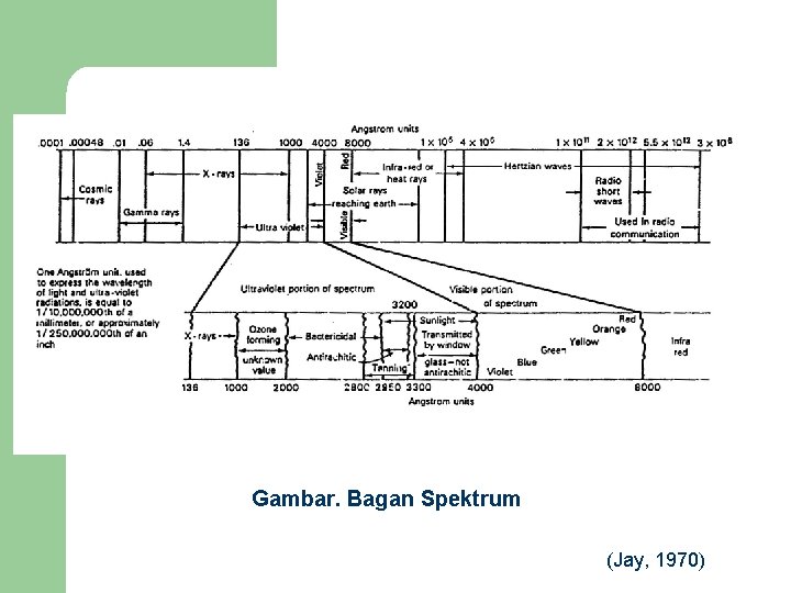 Gambar. Bagan Spektrum (Jay, 1970) 