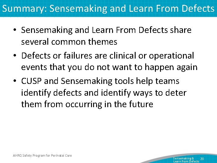 Summary: Sensemaking and Learn From Defects • Sensemaking and Learn From Defects share several