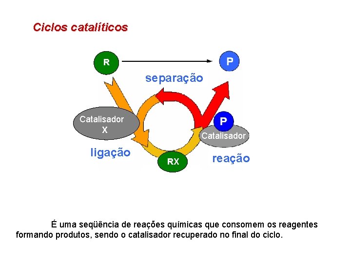 Ciclos catalíticos R separação Catalisador X ligação Catalisador RX Catalisador reação É uma seqüência
