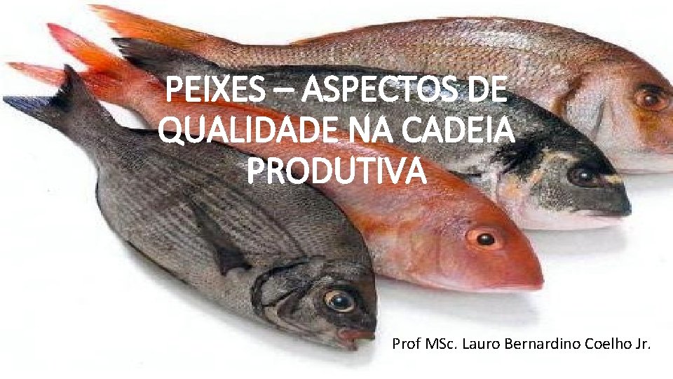 PEIXES – ASPECTOS DE QUALIDADE NA CADEIA PRODUTIVA Prof MSc. Lauro Bernardino Coelho Jr.