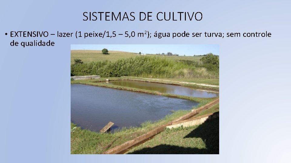 SISTEMAS DE CULTIVO • EXTENSIVO – lazer (1 peixe/1, 5 – 5, 0 m