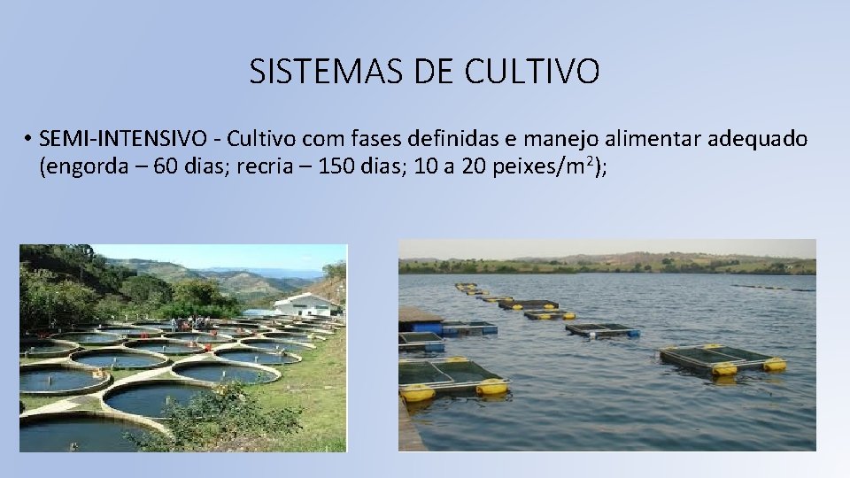 SISTEMAS DE CULTIVO • SEMI-INTENSIVO - Cultivo com fases definidas e manejo alimentar adequado