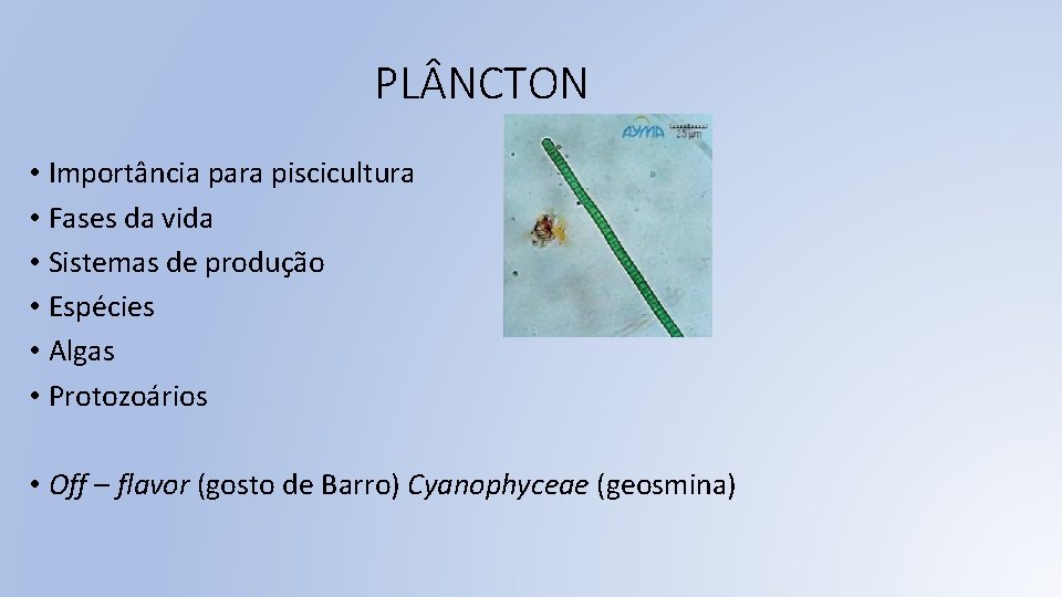 PL NCTON • Importância para piscicultura • Fases da vida • Sistemas de produção