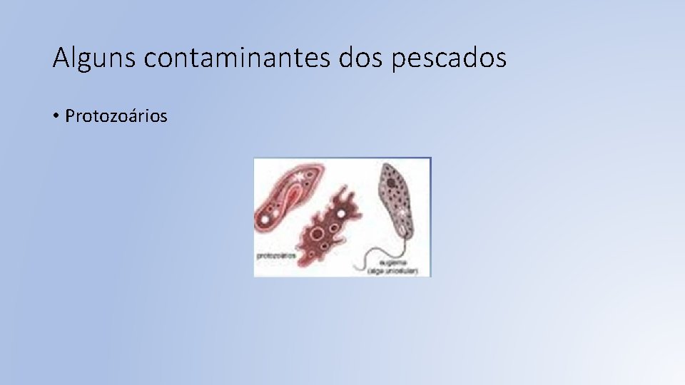 Alguns contaminantes dos pescados • Protozoários 