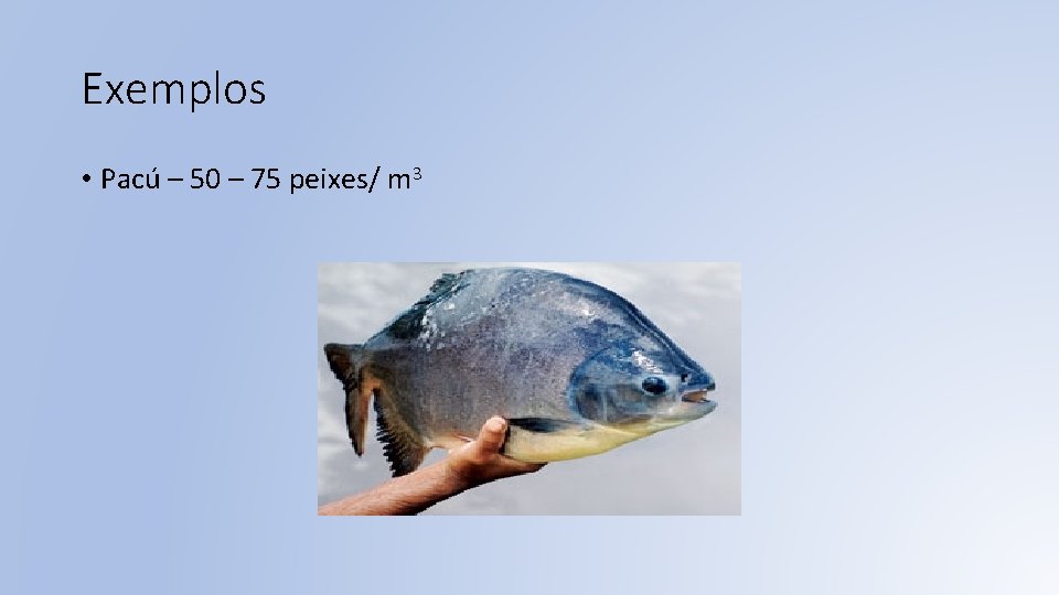 Exemplos • Pacú – 50 – 75 peixes/ m 3 