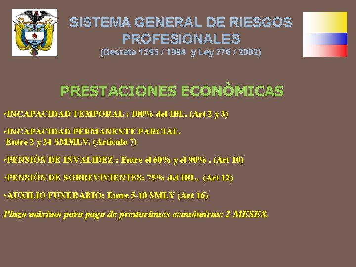 SISTEMA GENERAL DE RIESGOS PROFESIONALES (Decreto 1295 / 1994 y Ley 776 / 2002)