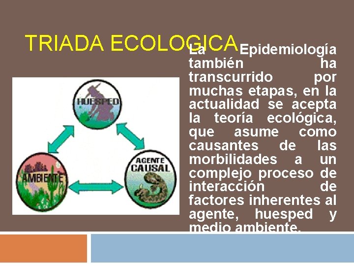 TRIADA ECOLOGICA La Epidemiología también ha transcurrido por muchas etapas, en la actualidad se