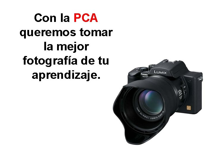 Con la PCA queremos tomar la mejor fotografía de tu aprendizaje. 