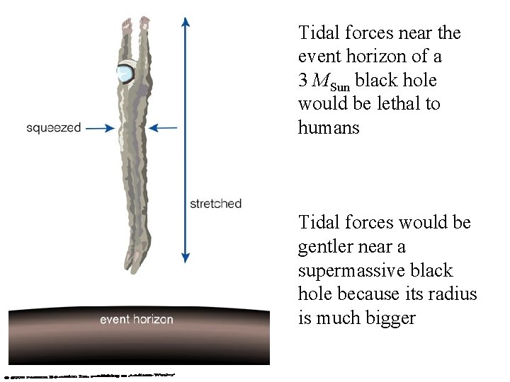 Tidal forces near the event horizon of a 3 MSun black hole would be