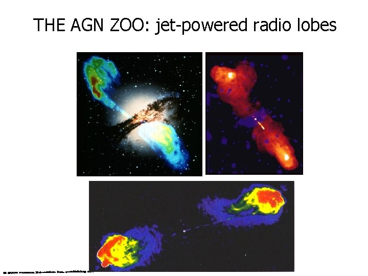 THE AGN ZOO: jet-powered radio lobes 