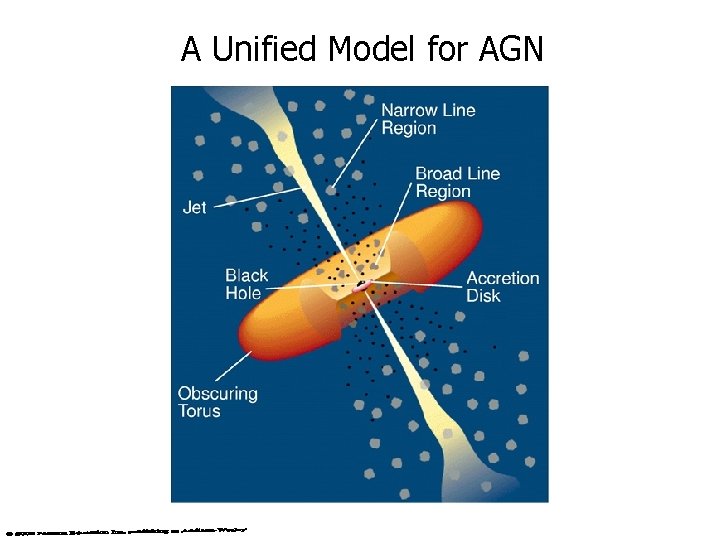A Unified Model for AGN 