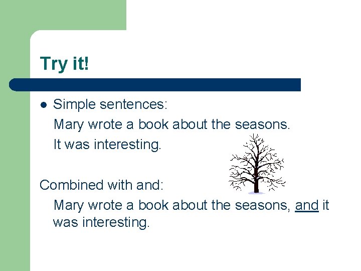 Try it! l Simple sentences: Mary wrote a book about the seasons. It was