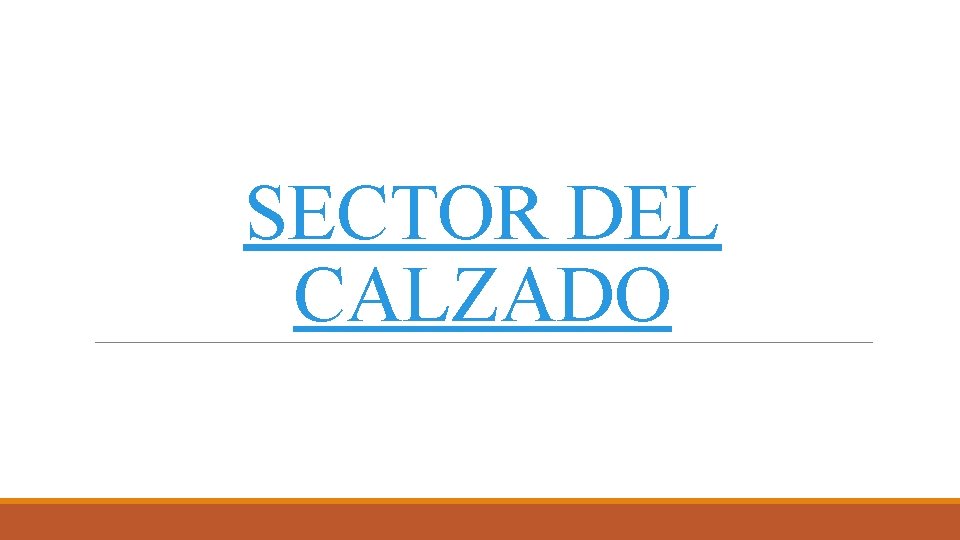 SECTOR DEL CALZADO 