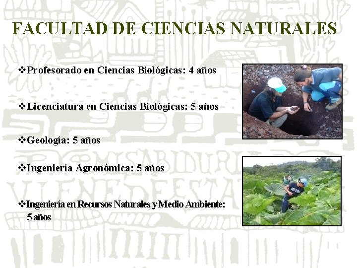 FACULTAD DE CIENCIAS NATURALES v. Profesorado en Ciencias Biológicas: 4 años v. Licenciatura en FACULTAD DE CIENCIAS NATURALES v. Profesorado en Ciencias Biológicas: 4 años v. Licenciatura en