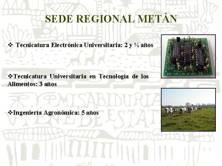 SEDE REGIONAL METÁN v Tecnicatura Electrónica Universitaria: 2 y ½ años v. Tecnicatura Universitaria SEDE REGIONAL METÁN v Tecnicatura Electrónica Universitaria: 2 y ½ años v. Tecnicatura Universitaria
