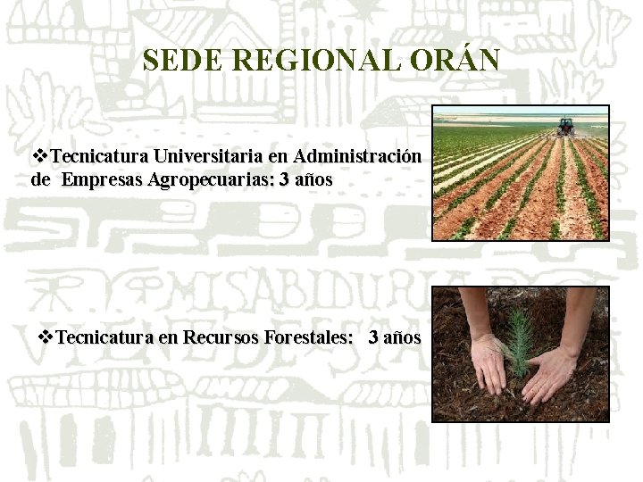 SEDE REGIONAL ORÁN v. Tecnicatura Universitaria en Administración de Empresas Agropecuarias: 3 años v. SEDE REGIONAL ORÁN v. Tecnicatura Universitaria en Administración de Empresas Agropecuarias: 3 años v.