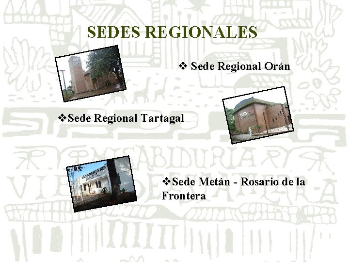 SEDES REGIONALES v Sede Regional Orán v. Sede Regional Tartagal v. Sede Metán - SEDES REGIONALES v Sede Regional Orán v. Sede Regional Tartagal v. Sede Metán -