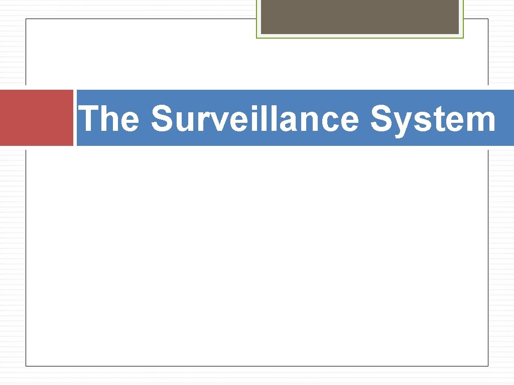 The Surveillance System 