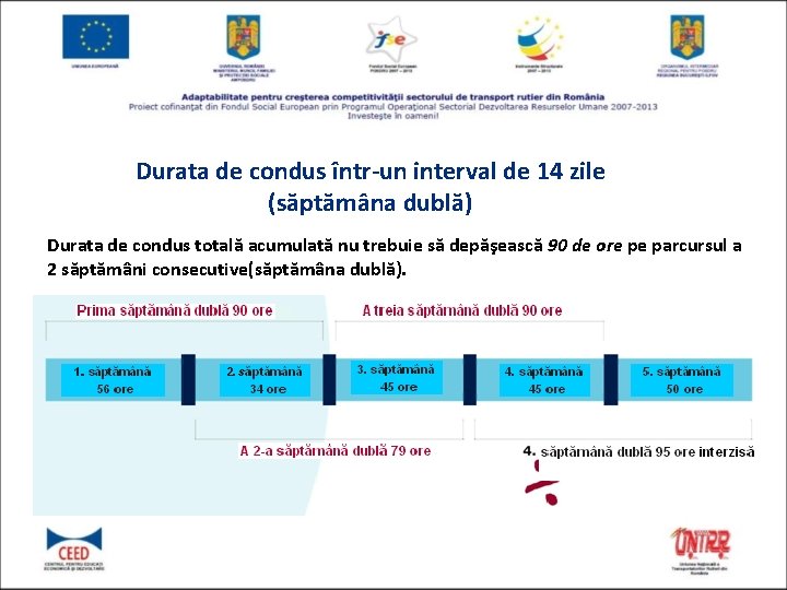 Durata de condus într-un interval de 14 zile (săptămâna dublă) Durata de condus totală