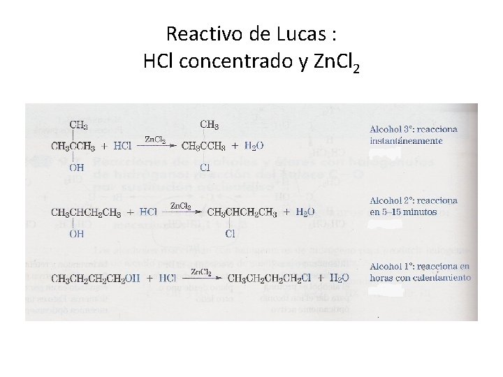 Reactivo de Lucas : HCl concentrado y Zn. Cl 2 