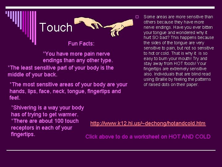 o Touch Fun Facts: *You have more pain nerve endings than any other type.
