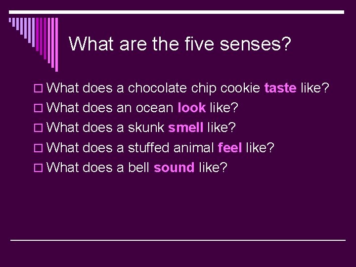 What are the five senses? o What does a chocolate chip cookie taste like?