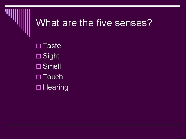 What are the five senses? o Taste o Sight o Smell o Touch o