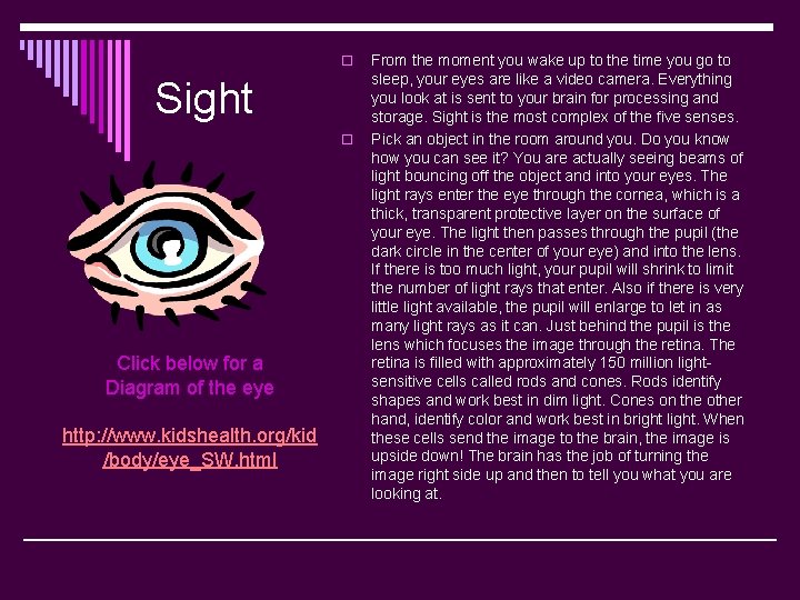 o Sight o Click below for a Diagram of the eye http: //www. kidshealth.