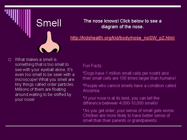 Smell The nose knows! Click below to see a diagram of the nose. http: