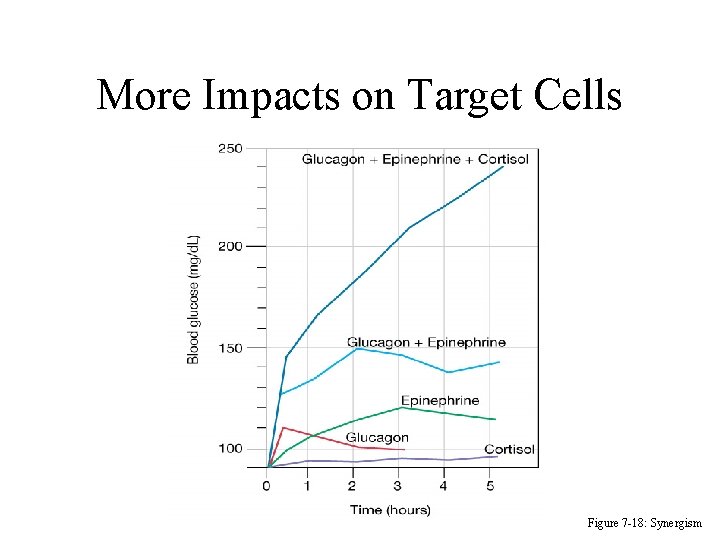 More Impacts on Target Cells Figure 7 -18: Synergism 