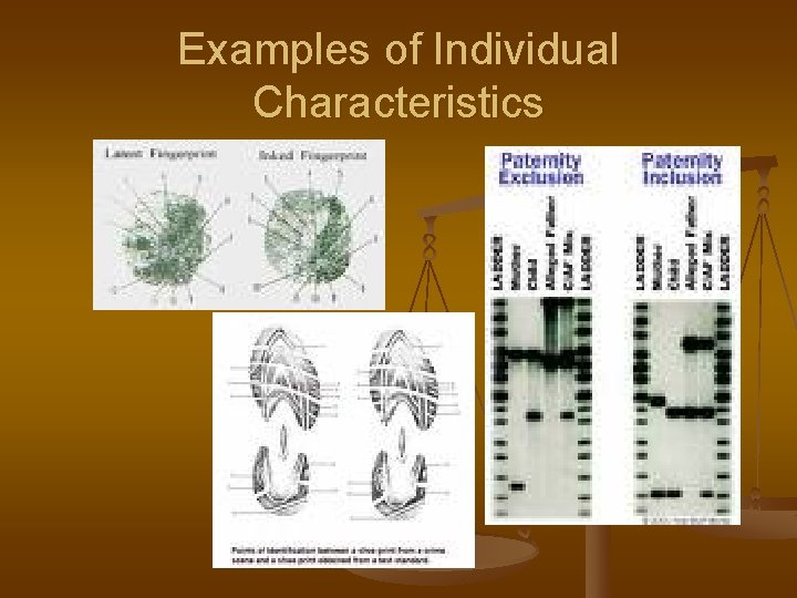 Examples of Individual Characteristics 