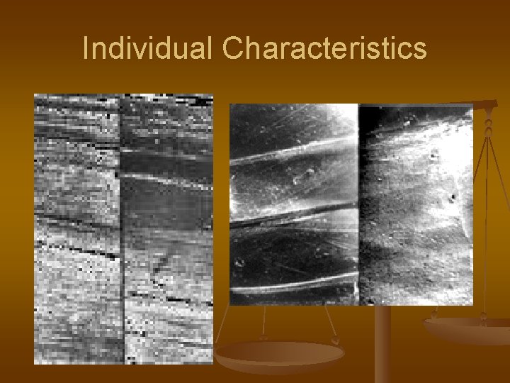 Individual Characteristics 