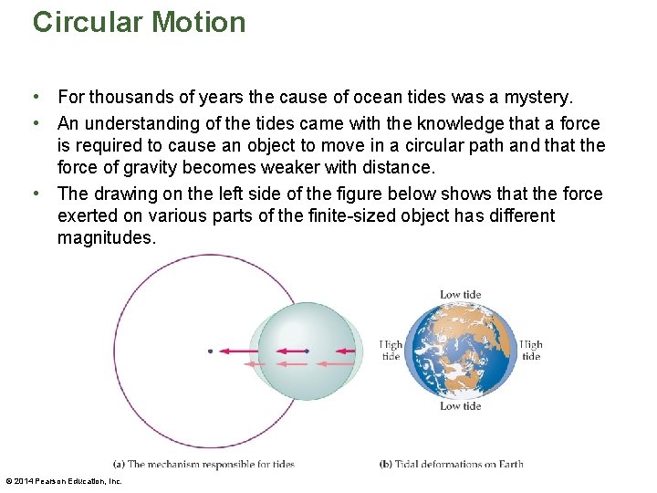Circular Motion • For thousands of years the cause of ocean tides was a