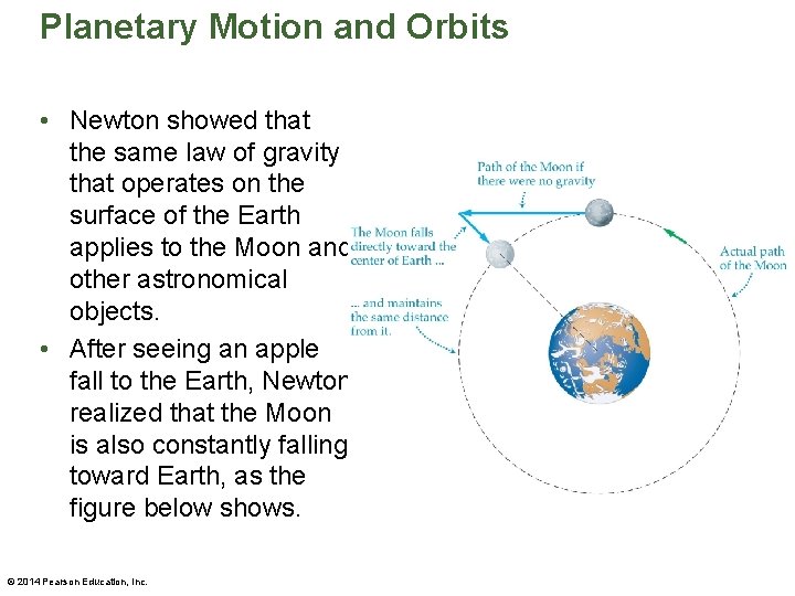 Planetary Motion and Orbits • Newton showed that the same law of gravity that
