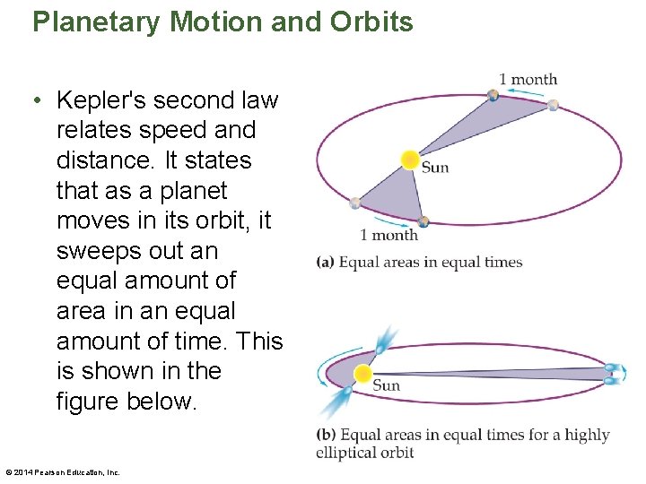 Planetary Motion and Orbits • Kepler's second law relates speed and distance. It states