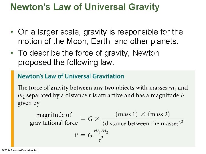 Newton's Law of Universal Gravity • On a larger scale, gravity is responsible for
