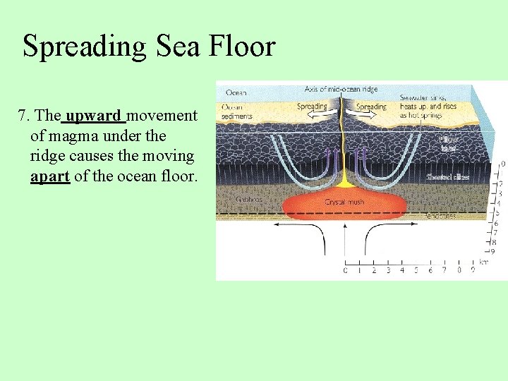 Spreading Sea Floor 7. The upward movement of magma under the ridge causes the