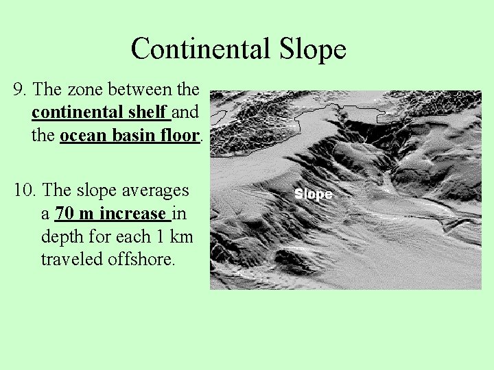 Continental Slope 9. The zone between the continental shelf and the ocean basin floor.