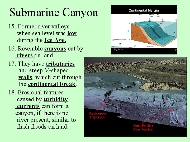Submarine Canyon 15. Former river valleys when sea level was low during the Ice