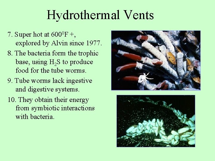 Hydrothermal Vents 7. Super hot at 6000 F +, explored by Alvin since 1977.