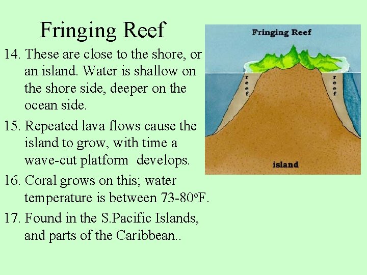 Fringing Reef 14. These are close to the shore, or an island. Water is