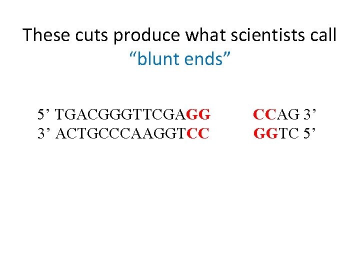 These cuts produce what scientists call “blunt ends” 5’ TGACGGGTTCGAGG 3’ ACTGCCCAAGGTCC CCAG 3’