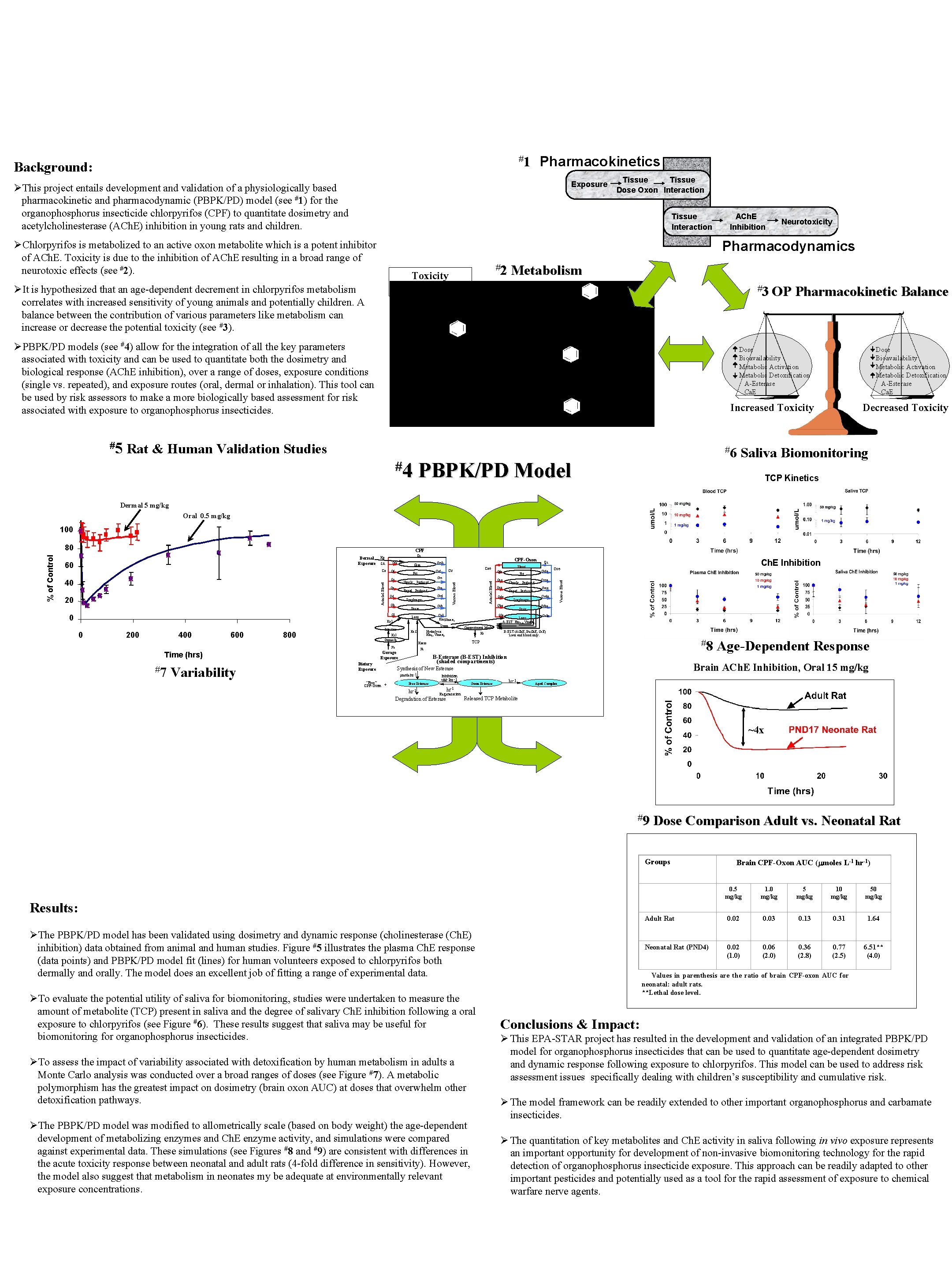 Development of a Physiologically Based Pharmacokinetic and Pharmacodynamic Model to Quantitate Biomarkers of Exposure