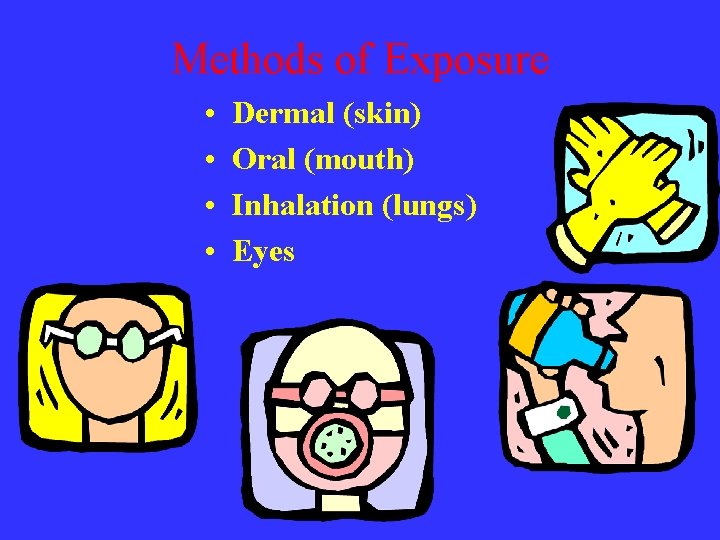 Methods of Exposure • • Dermal (skin) Oral (mouth) Inhalation (lungs) Eyes 
