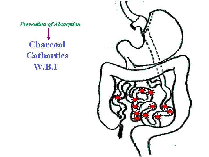 Prevention of Absorption Charcoal Cathartics W. B. I 
