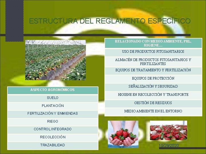 ESTRUCTURA DEL REGLAMENTO ESPECÍFICO RELACIONADO CON MEDIO AMBIENTE, PRL, HIGIENE… USO DE PRODUCTOS FITOSANITARIOS