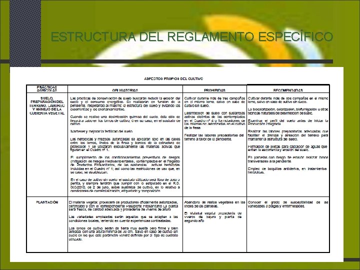 ESTRUCTURA DEL REGLAMENTO ESPECÍFICO 10/28/2020 Agrocolor, S. L. 